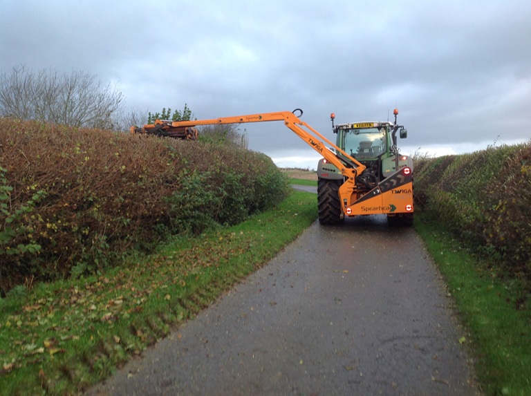 Hedge Cutting Contractor Dorset